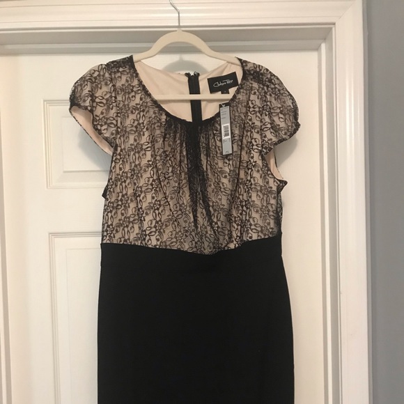 Size 16 brand new dress - Picture 4 of 4